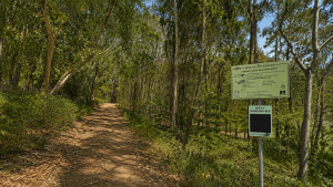 Gubberley Street Park