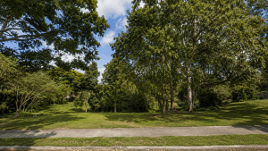 Moggill Road Park (no. 2231)