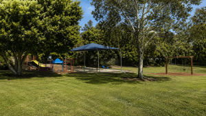 Palm Street Park
