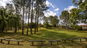 Parkway Place Park