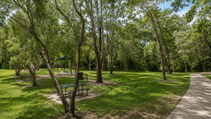 Sir Scene Mickaleon Park